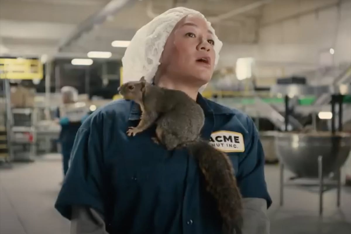 Good Behavior's Pete Marquis Directs Mad Scurry of Live Squirrels in Latest NJM Spot