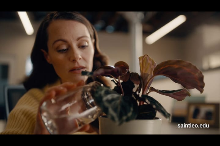 St. Leo University, Diamond View Launch "Courage to be More"