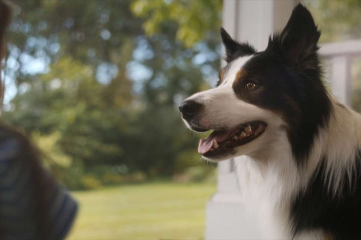 Plural Delivers Emotional NutriSource Campaign Directed by Stash Capar